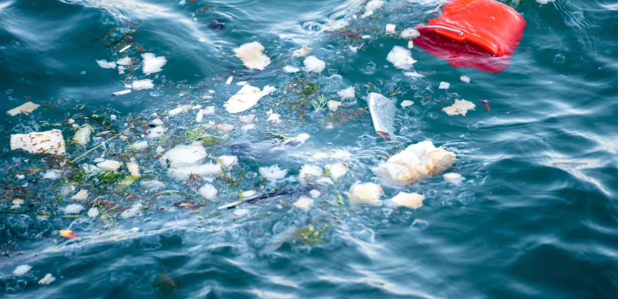 Microplastiche e metalli pesanti gli effetti tossici su pesci e catena alimentare