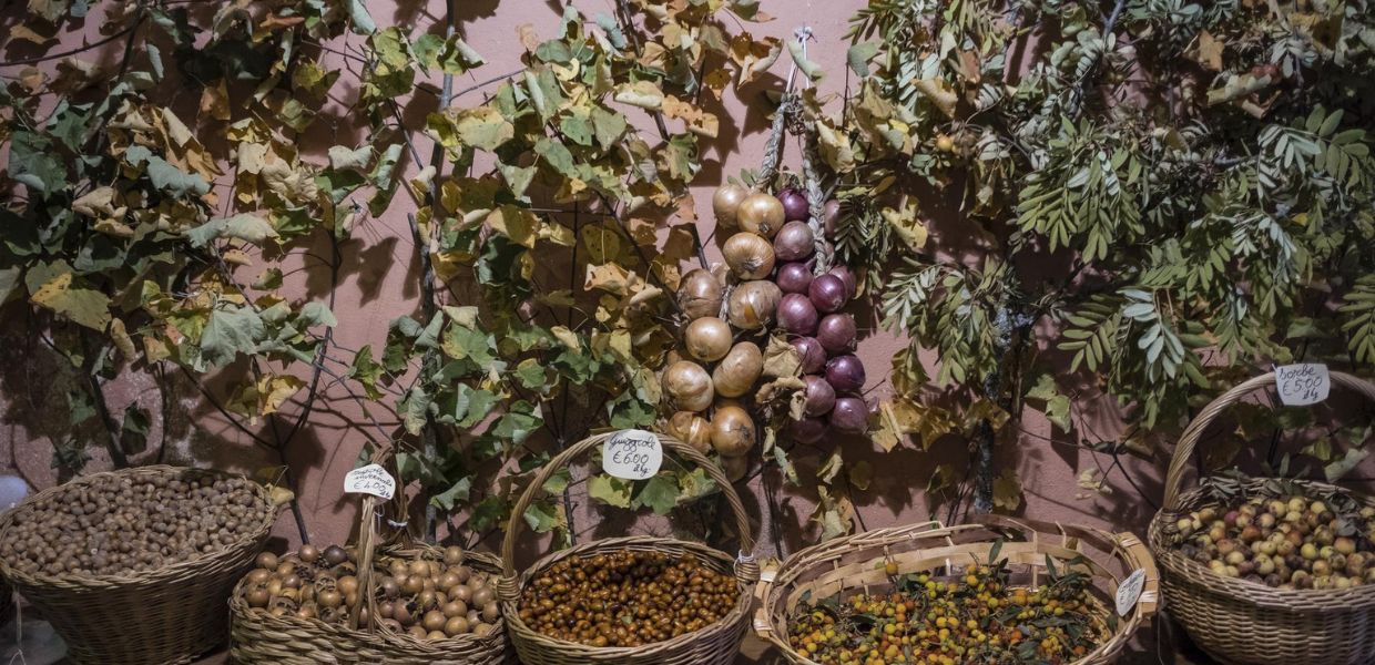 Montone (Pg), sapori e profumi d’autunno con la Festa del Bosco