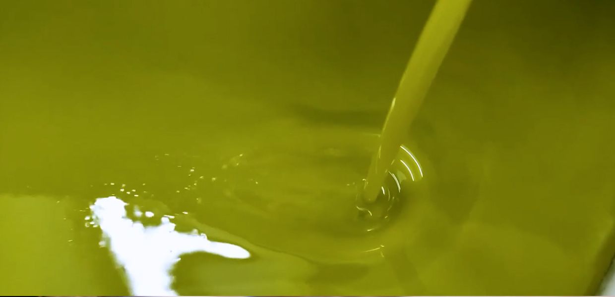 Oleoturismo, 5 fine settimana di eventi con ‘Frantoi Aperti in Umbria 2025’