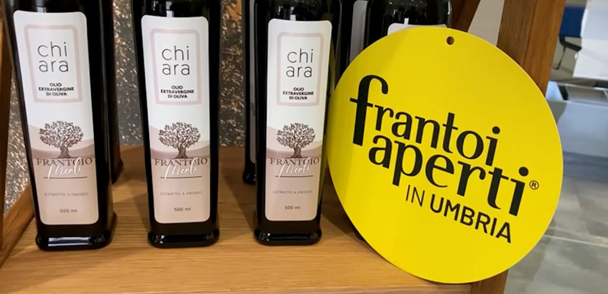 Oleoturismo, con Frantoi Aperti 2025 si scopre l’Umbria più autentica