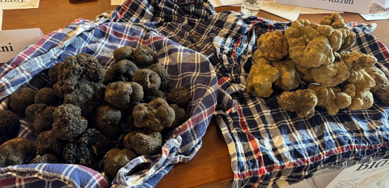Pietralunga (Pg), al via il doppio weekend dedicato al tartufo bianco
