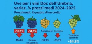 Vino, in Umbria crollano i prezzi, calo prezzi uve infografica