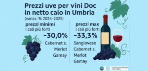 Vino, in Umbria crollano i prezzi, infografica 2