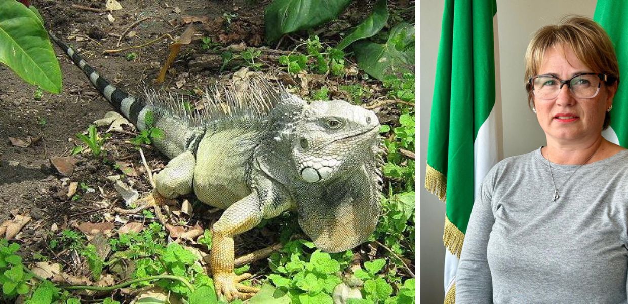 animali esotici proposta di legge lombardia