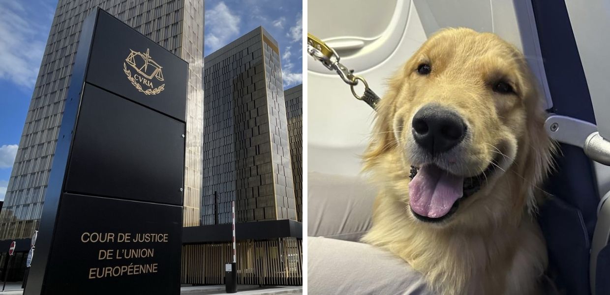 Corte di Giustizia UE: gli animali domestici in aereo sono bagagli