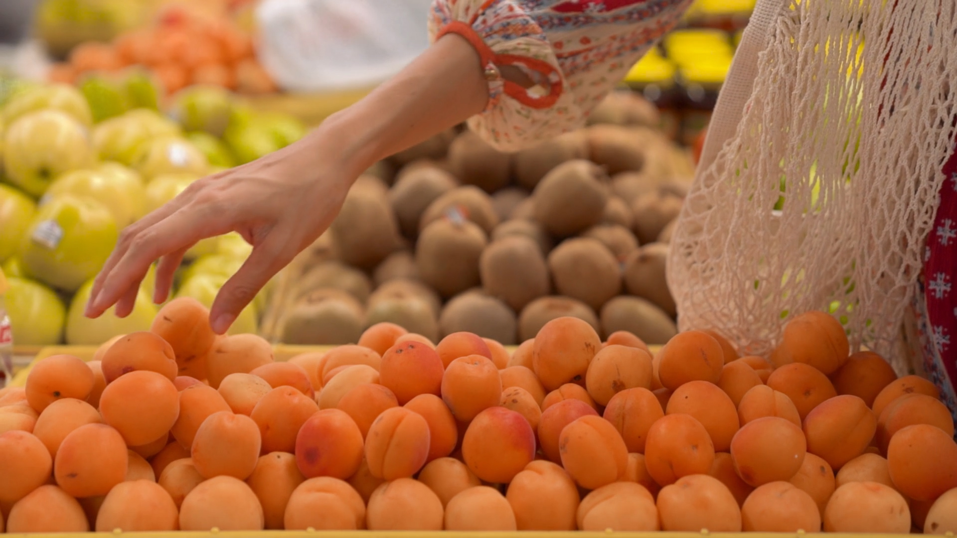 Giornata mondiale alimentazione, decisa transizione a sistema sostenibile o crollo