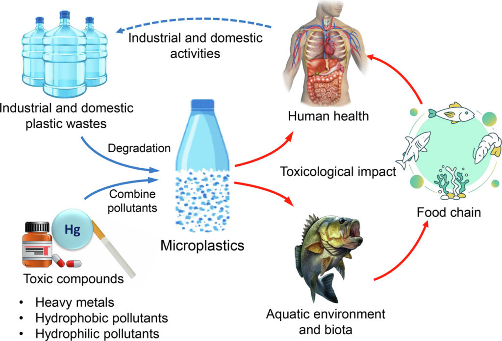 microplastiche metalli pesanti