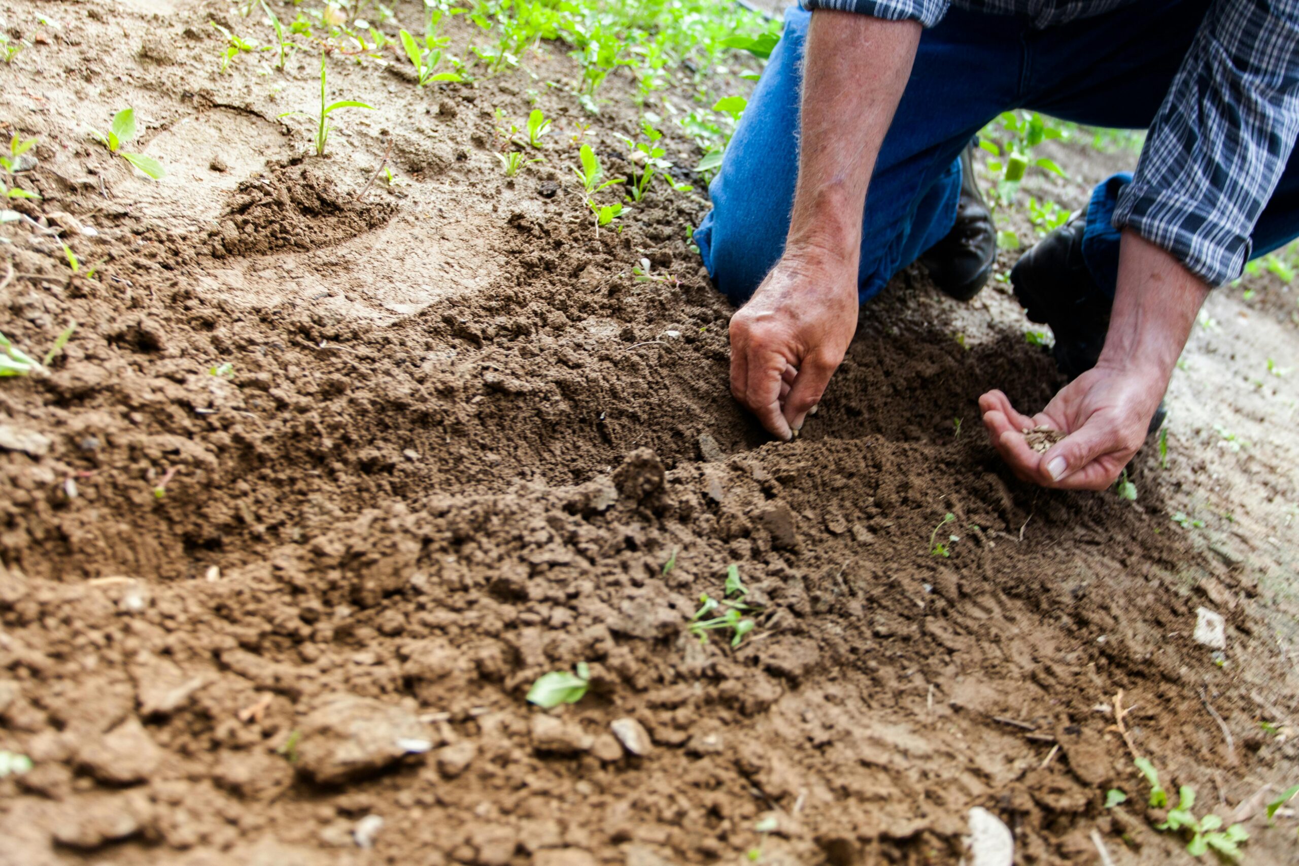 Legge di bilancio, i produttori agricoli chiedono misure per la crescita del settore