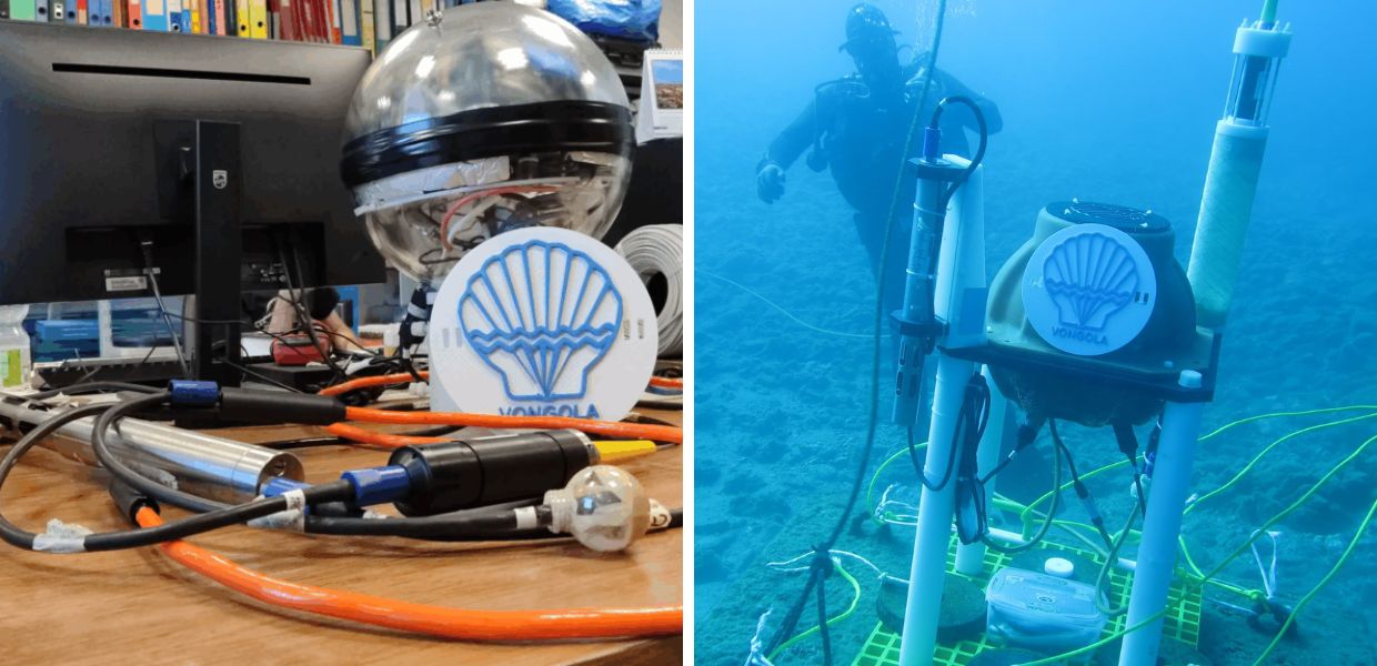 Canto dei gamberetti e rumore delle navi: così sensori e IA ascoltano la "voce" del mare