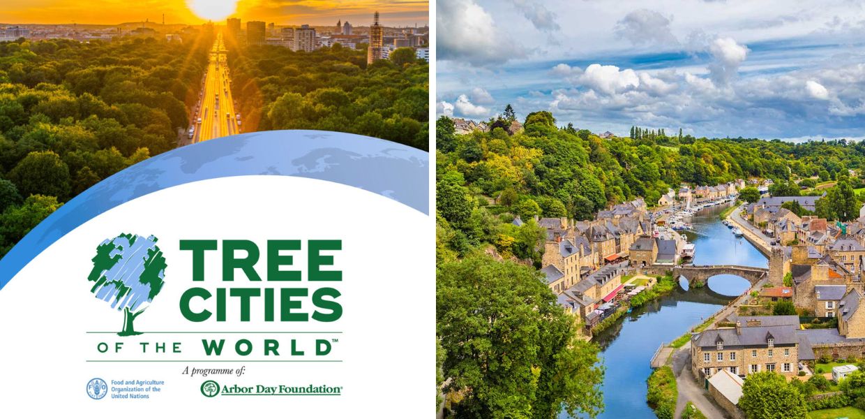tree cities of the world alberi verde urbano