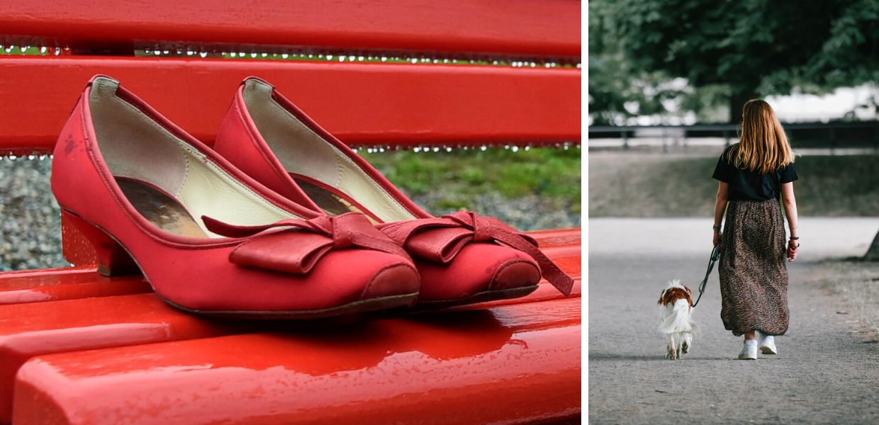 25 novembre, sevizie su animali preludio di violenza su donne