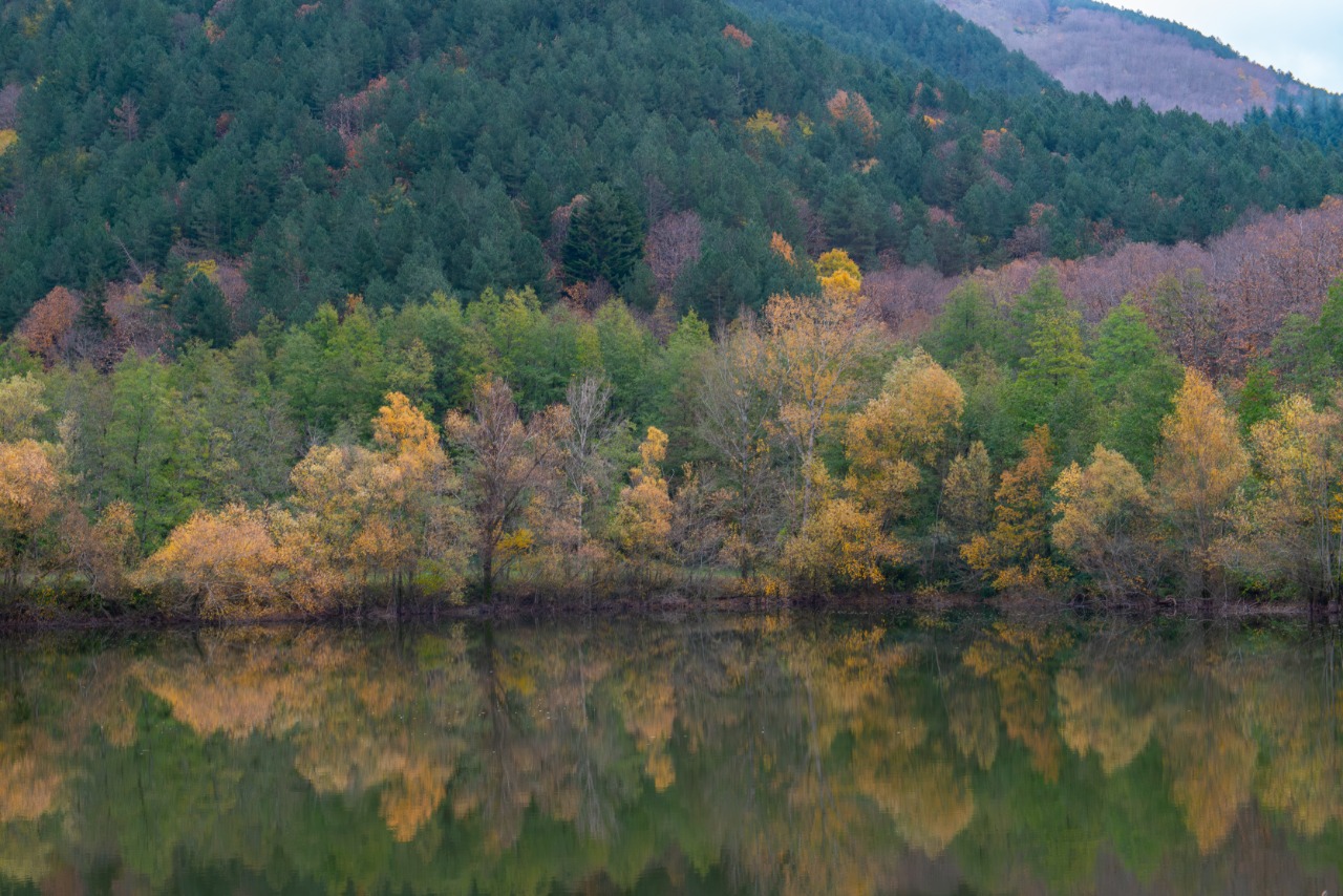 Atlante delle foreste di Legambiente: "3 milioni di alberi messi a dimora nel 2024"