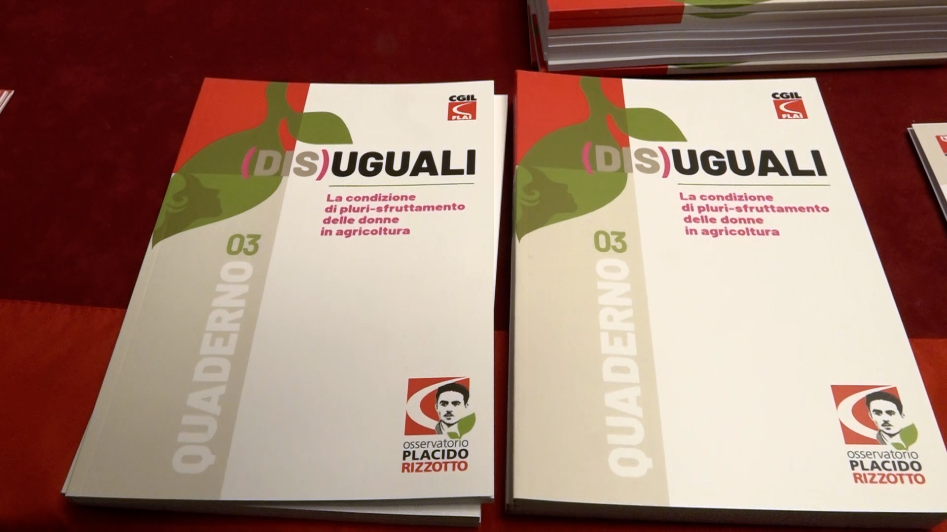 (Dis)Uguali, il quaderno sullo sfruttamento delle donne in agricoltura. Dignità e Diritti