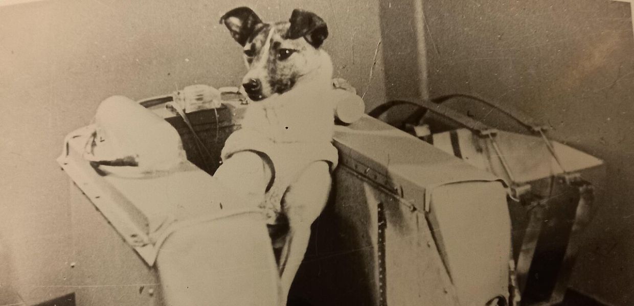 68 anni fa il primo animale nello Spazio: la triste storia della cagnolina Laika