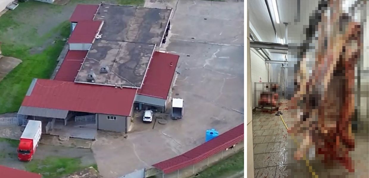 cavalli macellazione clandestina