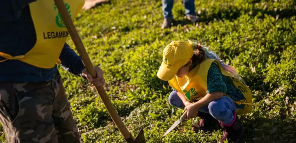 Natura, torna la Festa dell'Albero di Legambiente