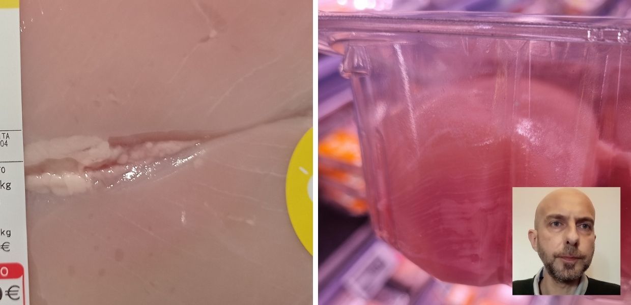 Animali, white striping nel 90% dei polli dei supermercati italiani