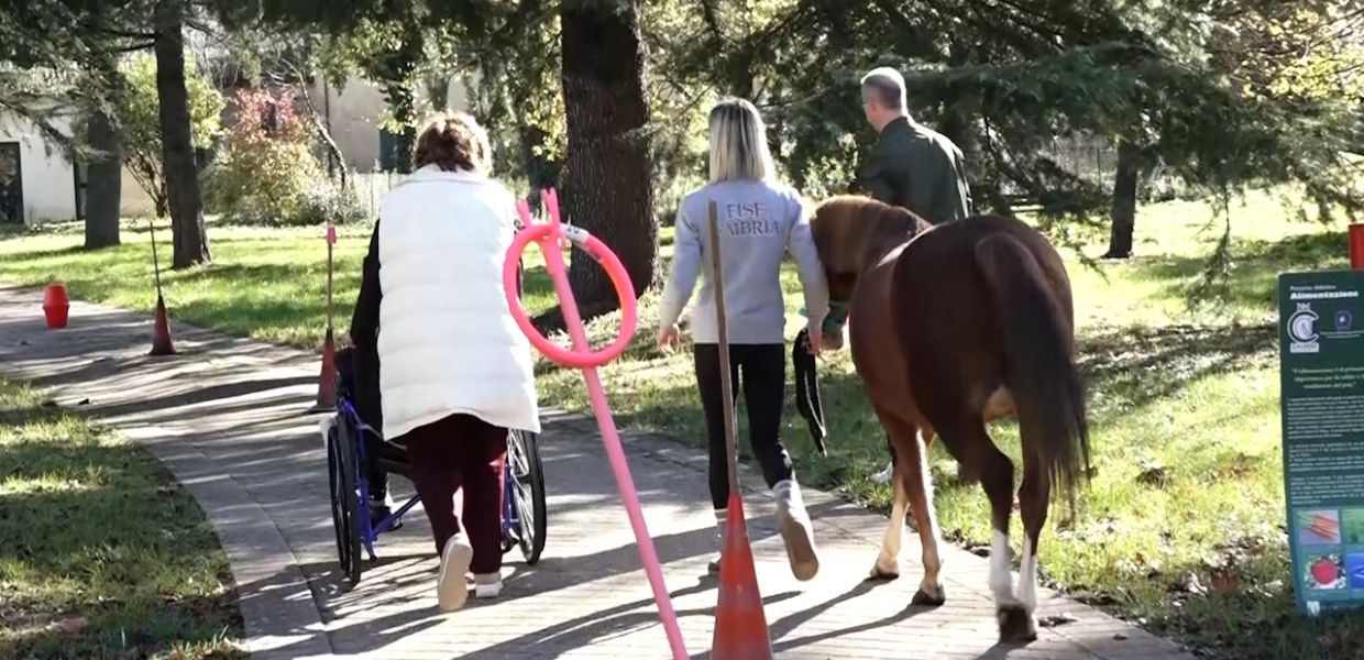 ‘Un cavallo sotto gli alberi’ il progetto della Fise Umbria per anziani e disabili