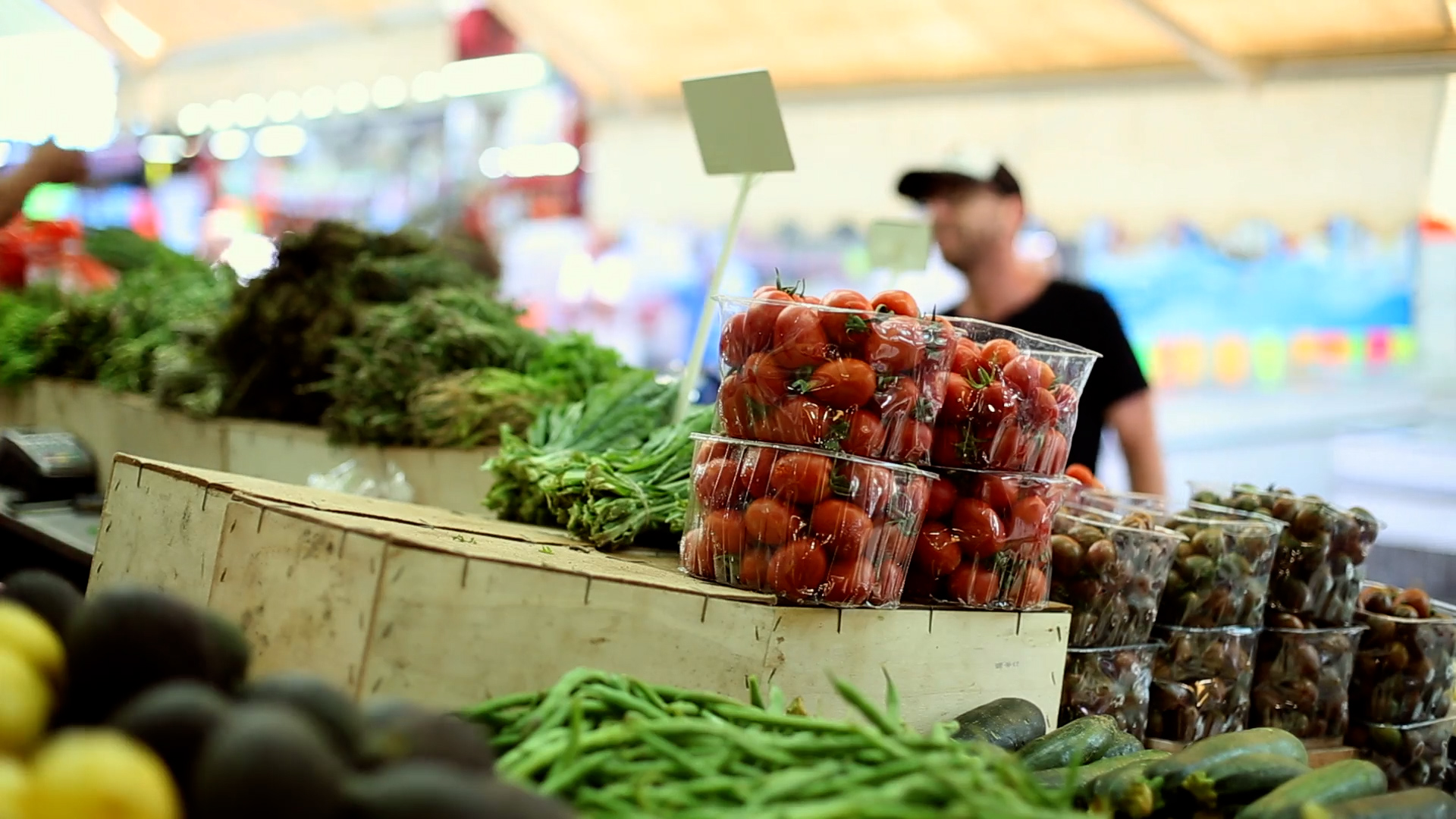 Povertà alimentare, OIPA: "Bambini e giovani più a rischio"
