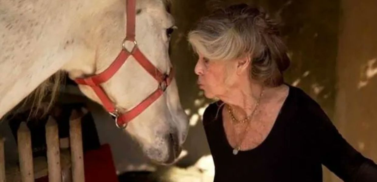 Una star di fama mondiale che scelse di abbandonare la prestigiosa carriera per dedicare la sua vita e la sua energia alla tutela degli animali. Addio a Brigitte Bardot, aveva 91 anni.