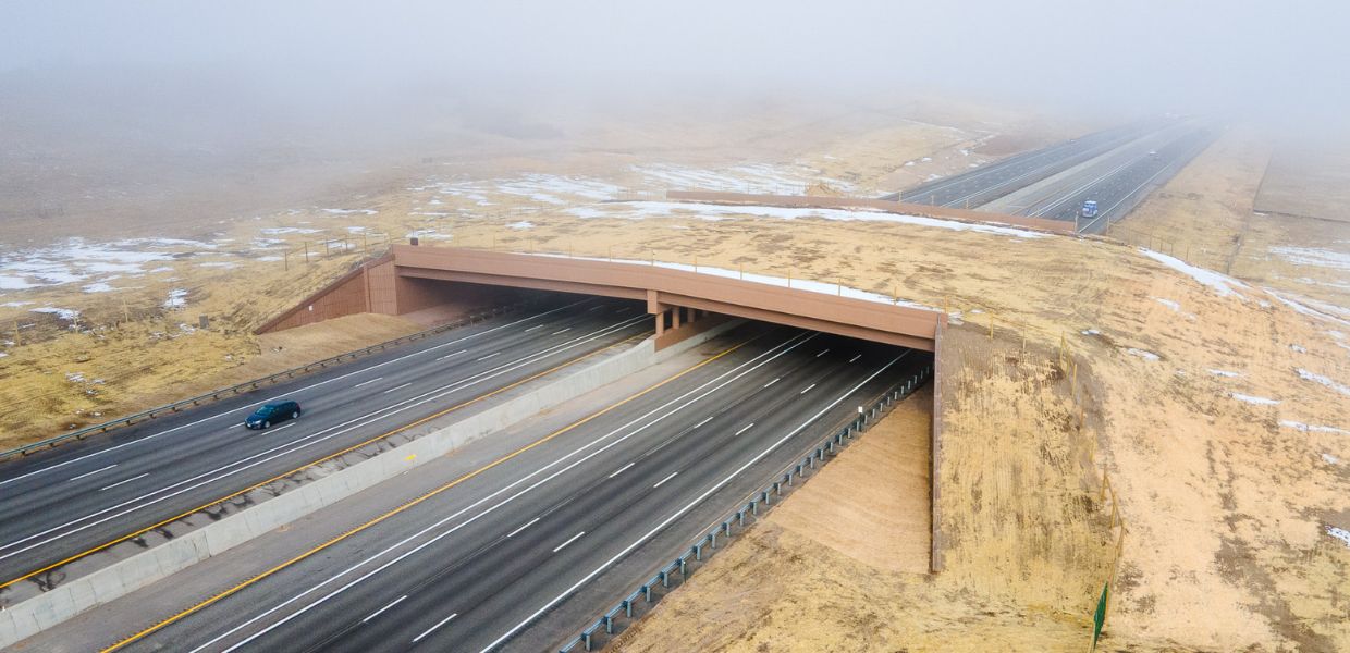 In Colorado  arriva il Greenland Wildlife Overpass, un investimento strategico sul lungo termine che riduce incidenti, costi sociali ed economici e aumenta la tutela della biodiversità.