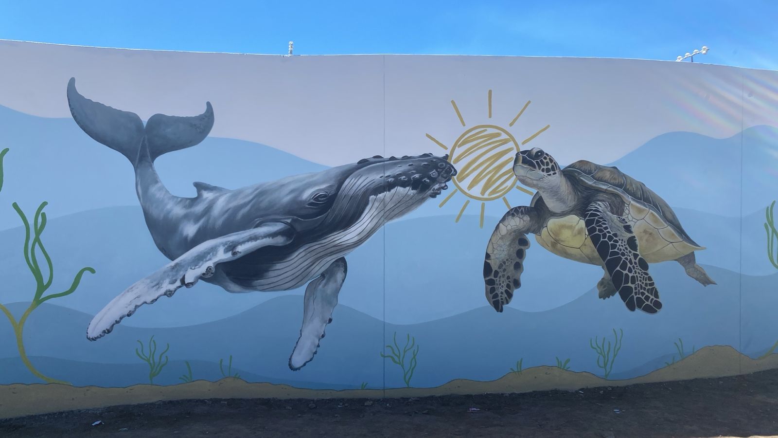 “One Ocean One Connection”, Puglia e Sud Africa unite in nome della biodiversità marina con 2 murales gemelli
