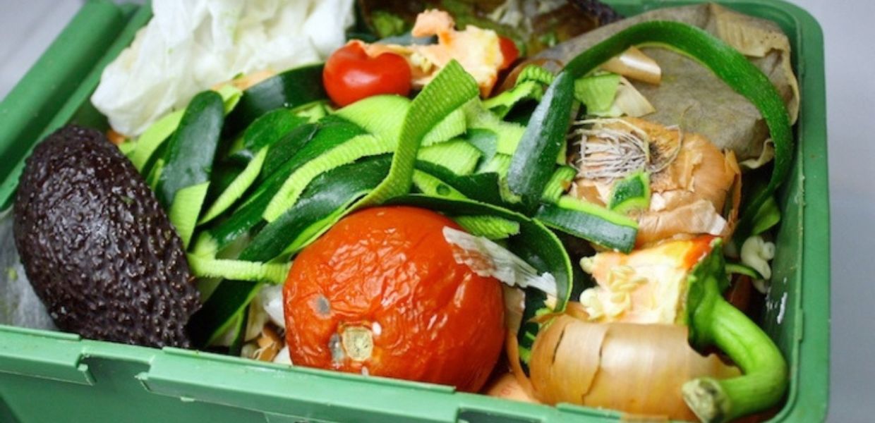 natale rifiuti umido cic