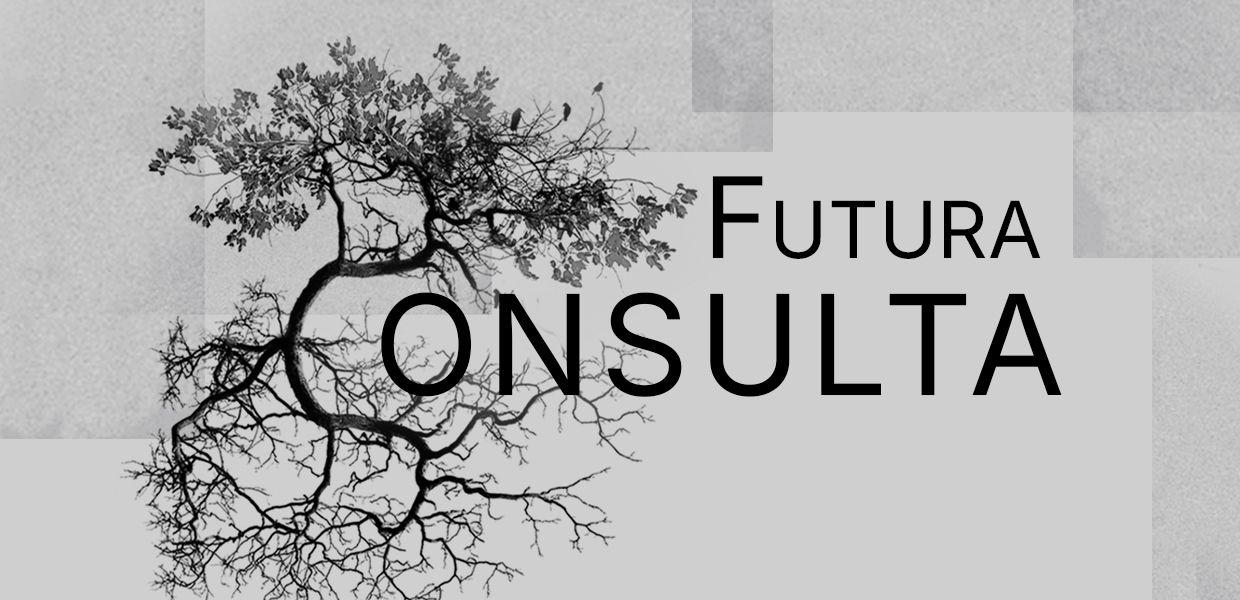 Futura Consulta, l'incontro pubblico con l’Assessorato e il Dipartimento Ambiente