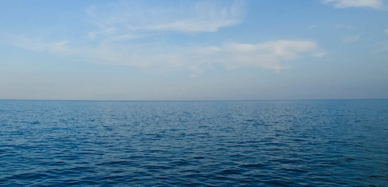 Le microplastiche compromettono la capacità dell’oceano di assorbire CO2