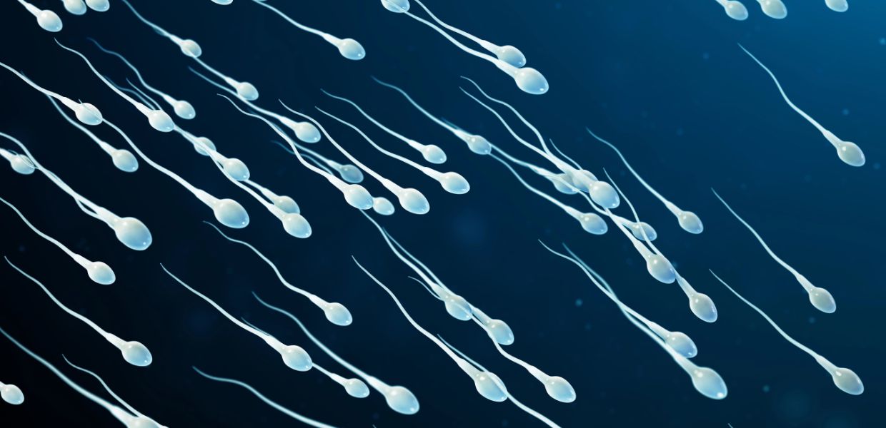 Microplastiche, trovate nel liquido seminale e nella prostata