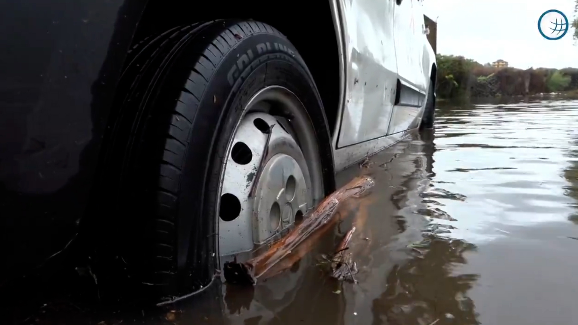 WWF: "Crisi climatica e di natura causano perdite miliardarie"