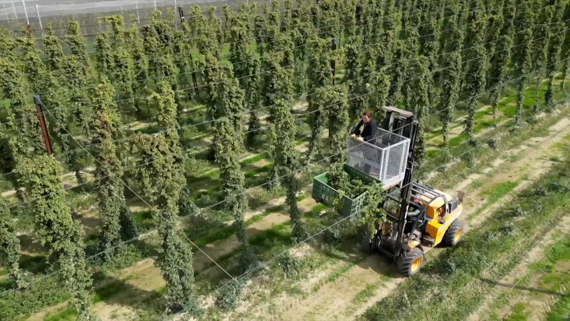 Accordo Ue-India, l'Europa apre un nuovo spazio di libero commercio