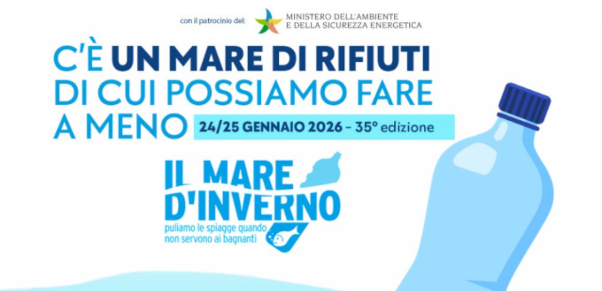 il mare dinverno fare verde