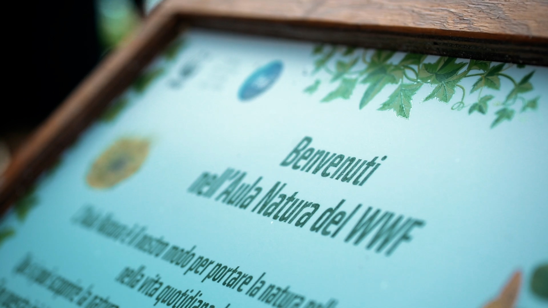 60 anni di WWF, online la nuova piattaforma One Planet School 