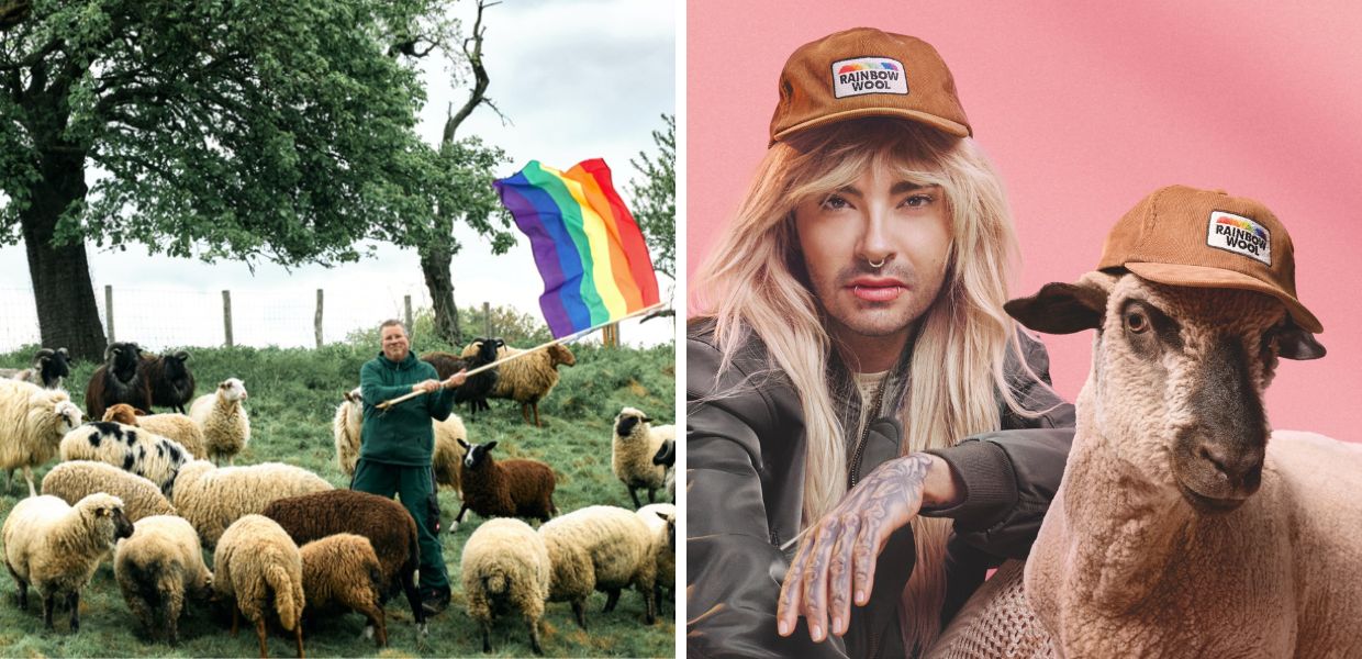 Rainbow Wool è un'azienda tedesca che ha dato vita alla prima collezione di moda al mondo realizzata con lana di montoni gay.