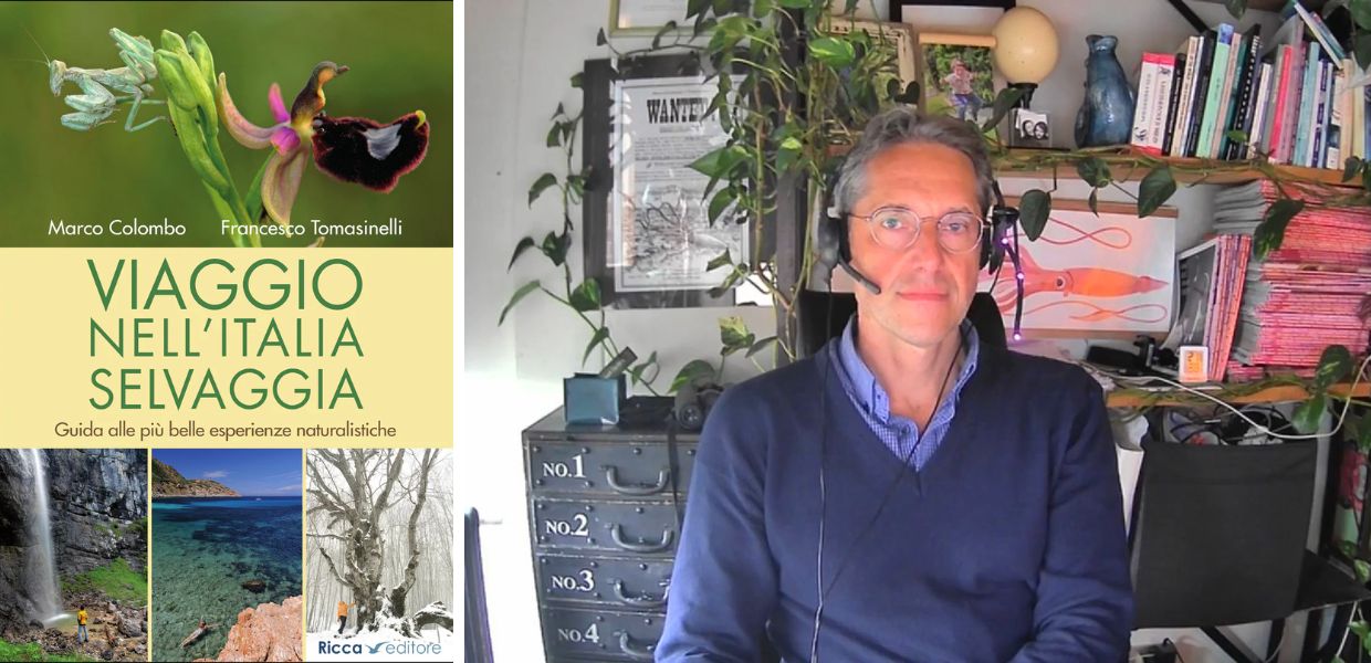 "Viaggio nell'Italia selvaggia", la guida per scoprire la biodiversità italiana