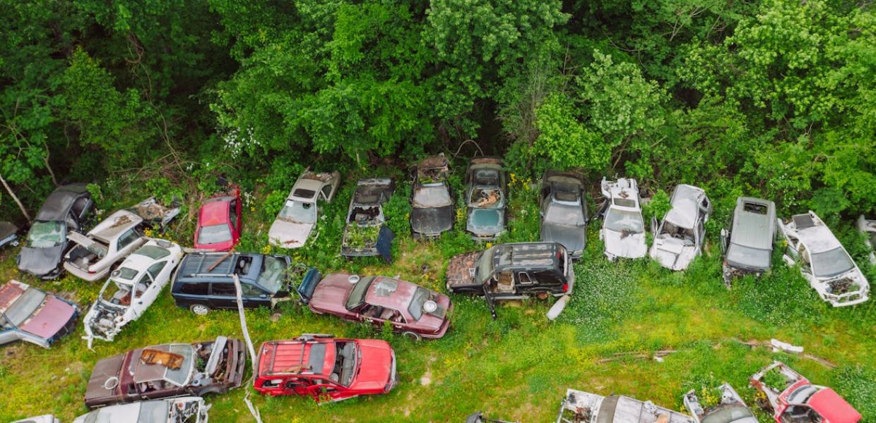 Inquinamento, Sima “Le auto abbandonate sono una “bomba” ambientale”