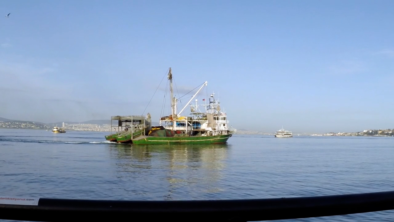 Fedagripesca: "Accordo Ue-India apre a invasione di gamberi di importazione"