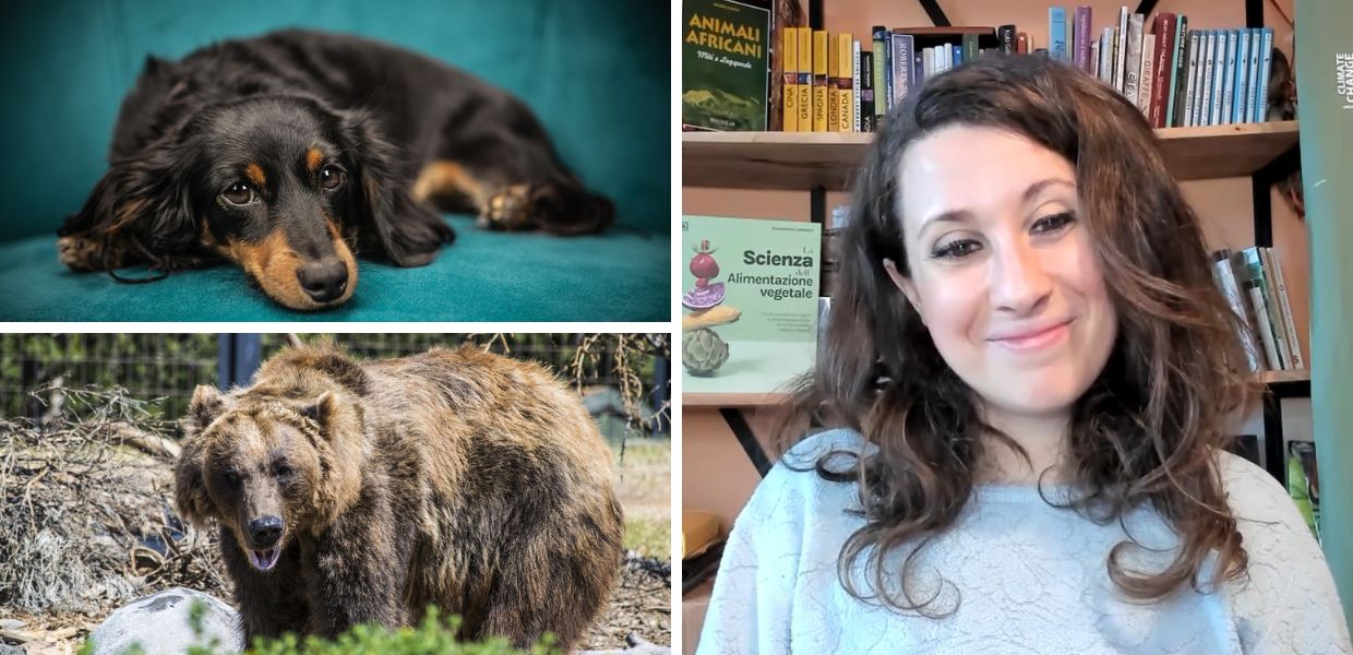 Perché esistono animali di serie A e animali di serie B? L'intervista all'etologa