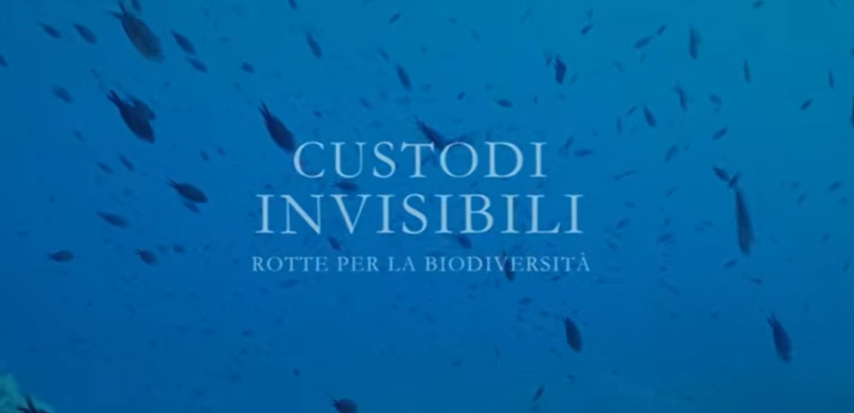 Mediterraneo, arriva il documentario "Custodi invisibili" | VIDEO