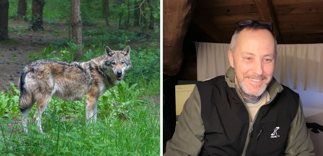 Io non ho paura del lupo, l'associazione a difesa del signore dei boschi