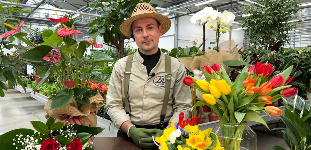 Arriva San Valentino: quali fiori regalare al partner? I consigli del giardiniere