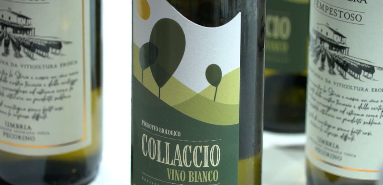 Valnerina, riprende la produzione di vino ‘Pecorino’