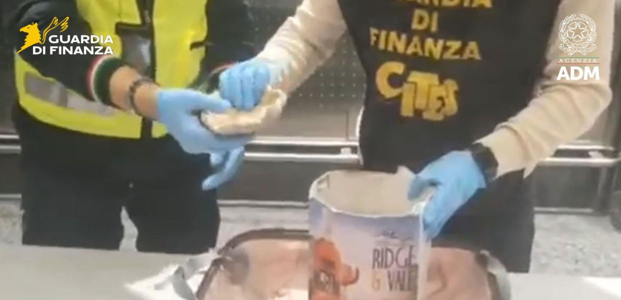 coralli coppia multata malpensa