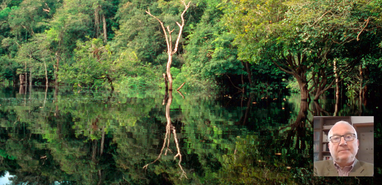 Giornata internazionale delle foreste, in 35 anni persa una superficie pari a 26 volte l'Austria