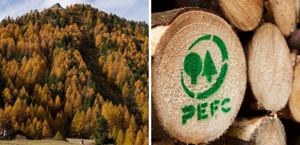 pefc italia gestione forestale sostenibile rapporto 2026