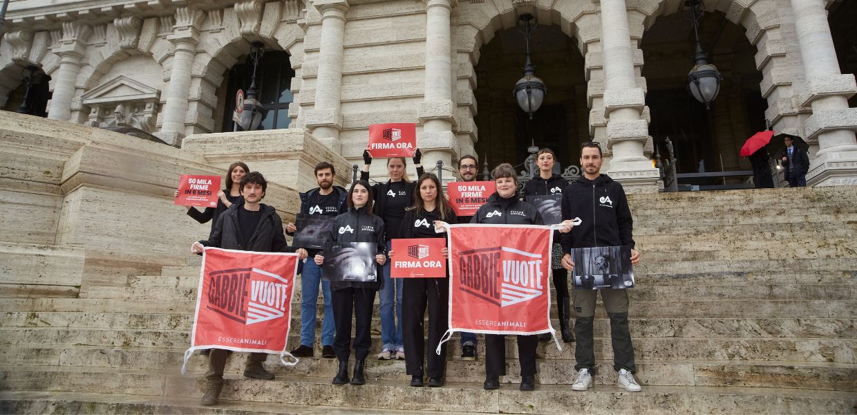 Stop agli animali allevati in gabbia: arriva la proposta di legge di iniziativa popolare