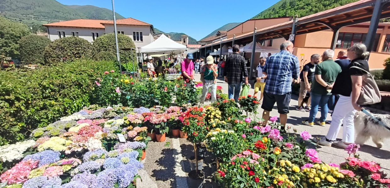 A Sant’Anatolia di Narco trionfo di colori e profumi con ‘Primavera in Valnerina’