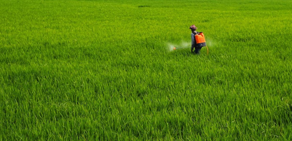 Salute, scoperta la correlazione tra pesticidi e rischio di cancro. Lo studio