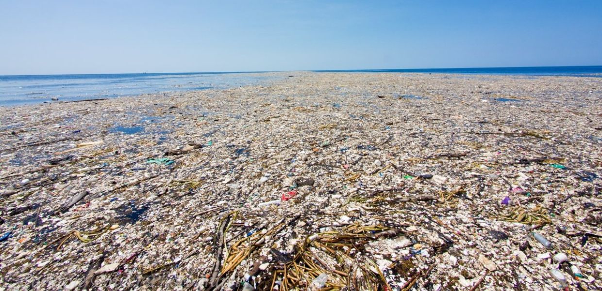 Scoperte 46 forme di vita sull’isola di plastica dell’Oceano Pacifico